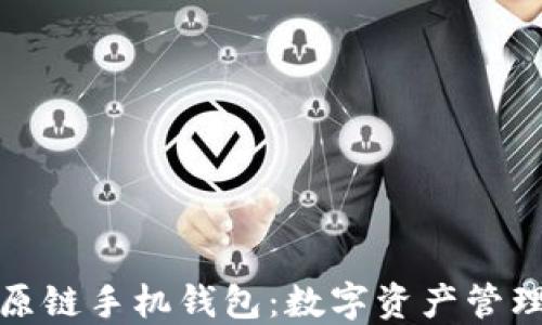 
探索比原链手机钱包：数字资产管理的未来